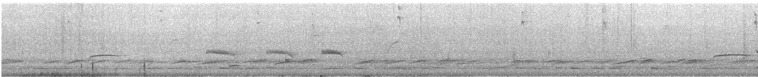 Puerto Rican Flycatcher - ML633426938