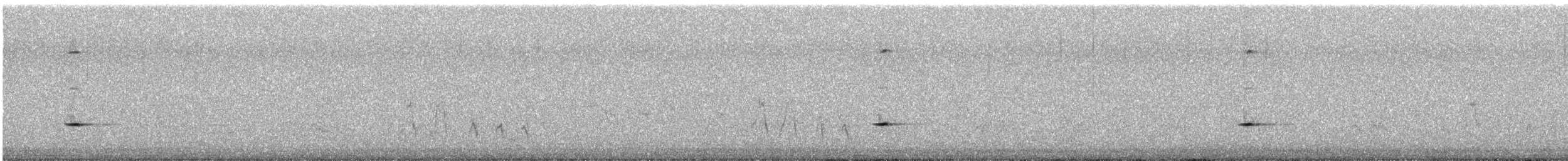 gråsolitærtrost - ML633430421
