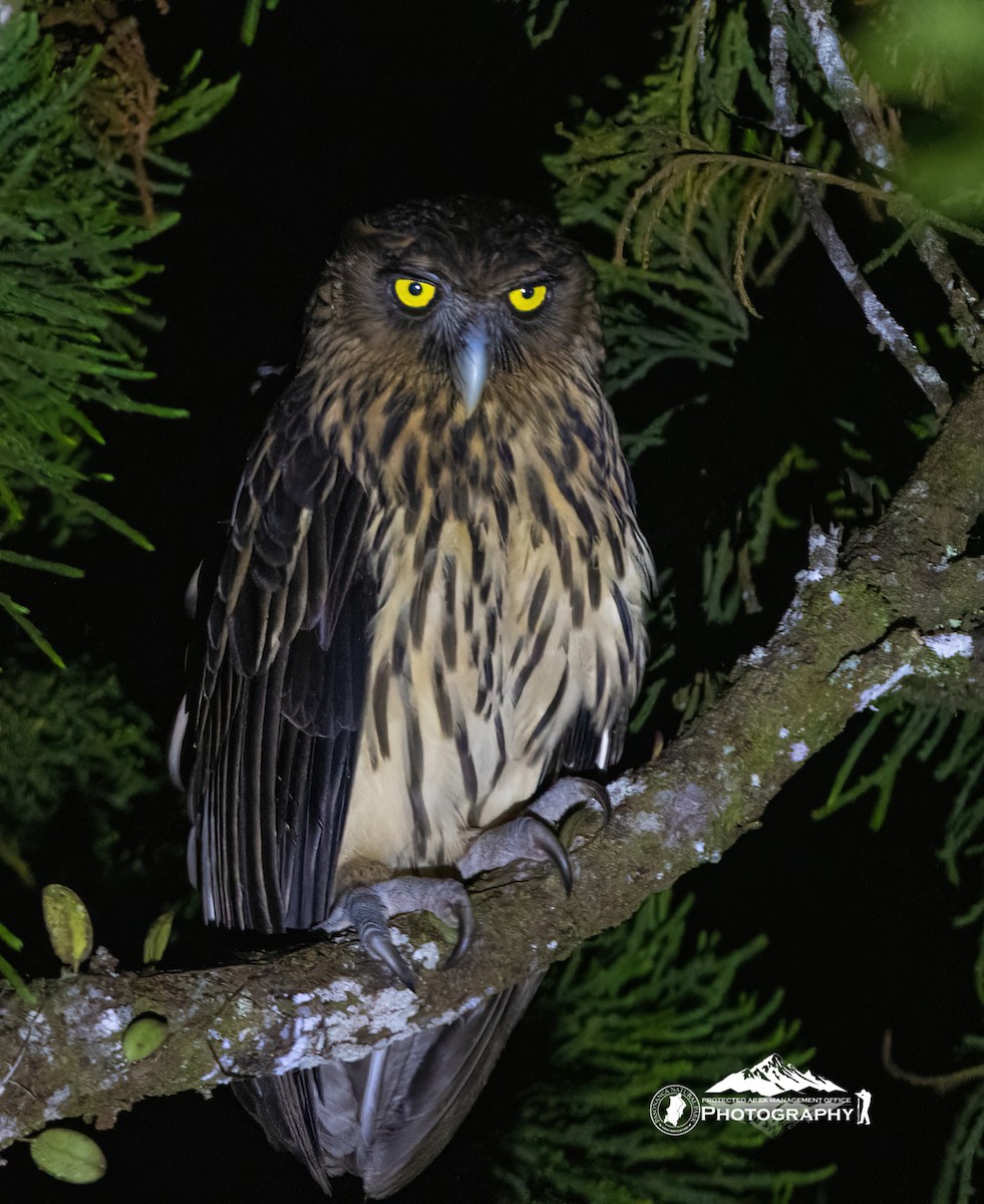 rusthubro - ML633430616