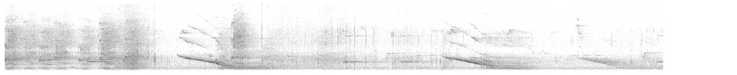 Satin Bowerbird - ML633432943