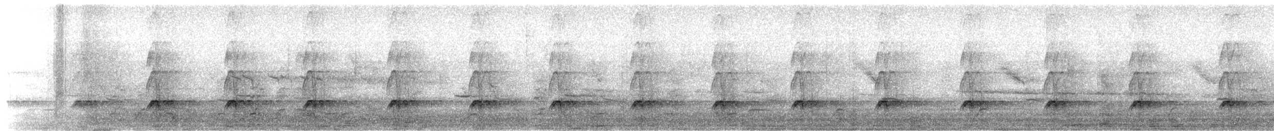 Common Squirrel-Cuckoo (Middle American) - ML633434295