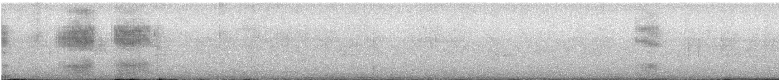 Veracruz Wren - ML633434315