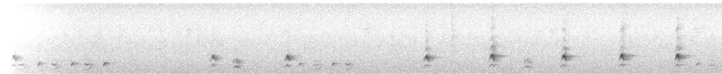 Veracruz Wren - ML633434317