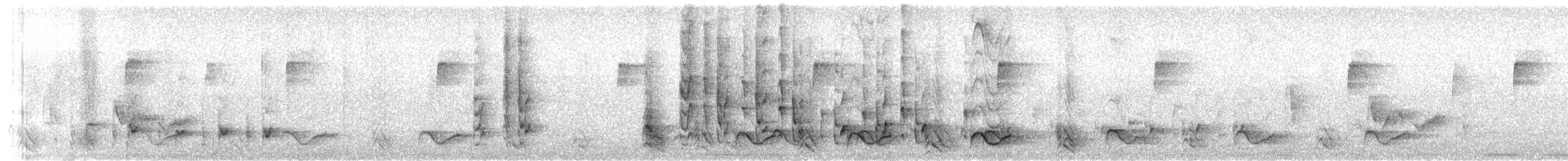 Veracruz Wren - ML633434318