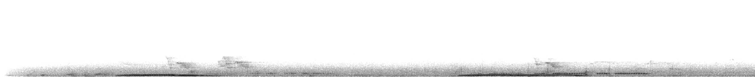 bronsekeiserdue - ML633436108