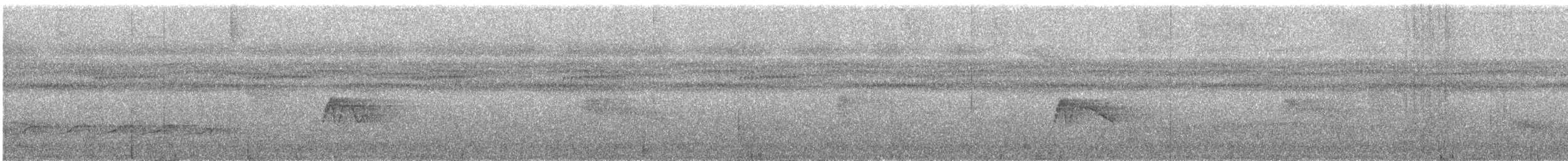 Blackish Pewee - ML633440059