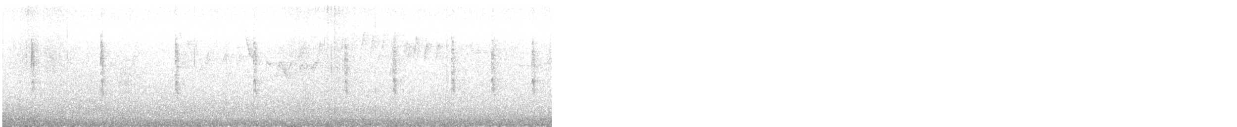 Paruline à calotte noire - ML633444922