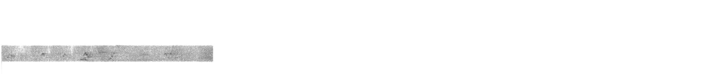 Conure de Hoffmann - ML633445308