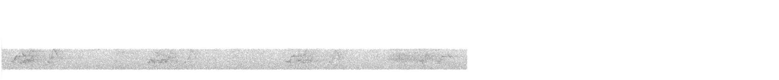 Conure de Hoffmann - ML633445309