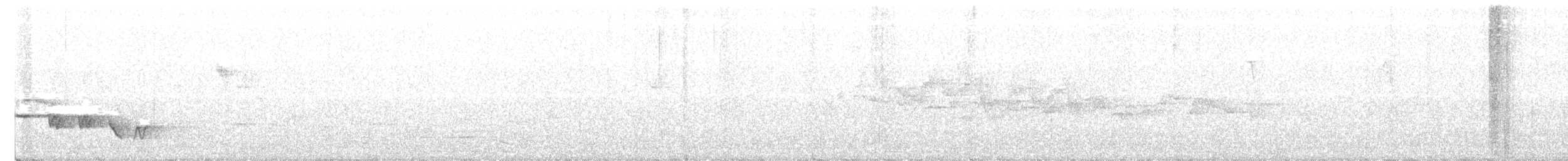 Gray-bellied Tesia - ML633447423