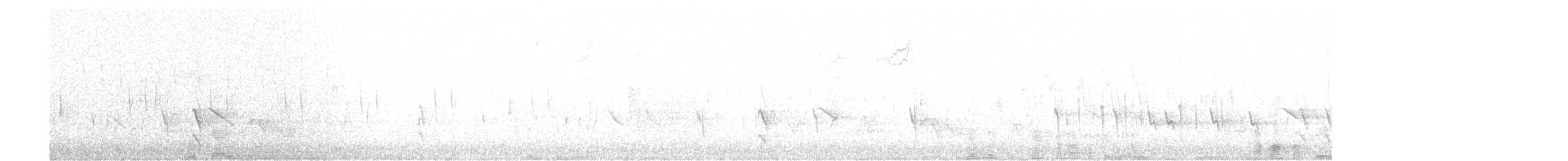 Gray Silky-flycatcher - ML633448969