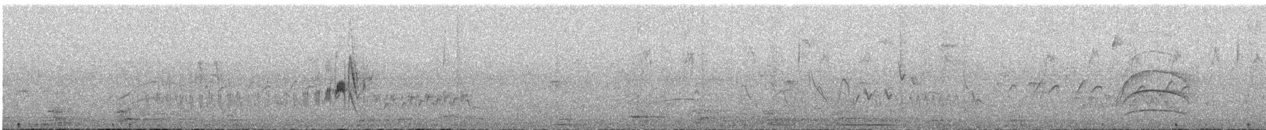 Mouse-colored Tyrannulet (Southern) - ML633449359