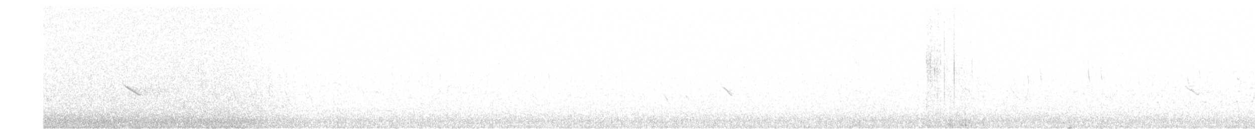 Strickland's Woodpecker - ML633449596