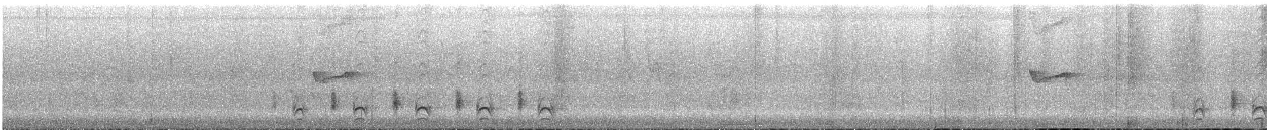 Rio Branco Antbird - ML633452614