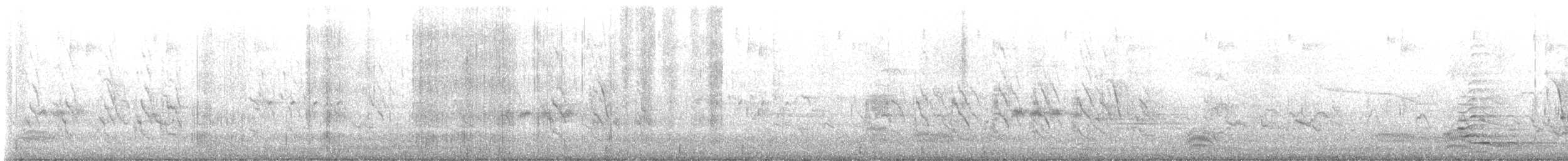 Indian Peafowl - ML633454107