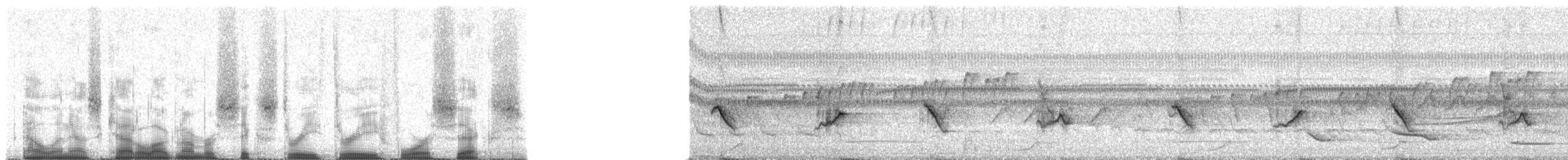 maskekardinal - ML63346