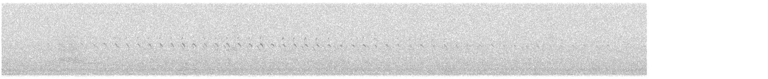 Качка sp. - ML633462658