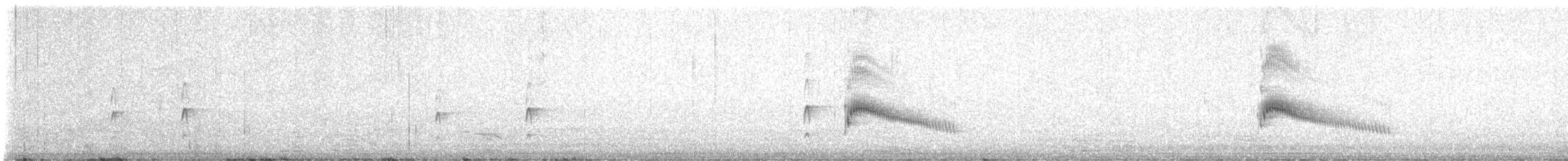 Couch's Kingbird - ML633471850