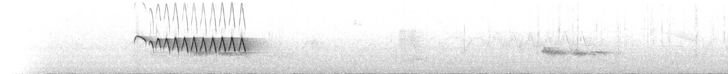 Bar-tailed Treecreeper - ML633473016