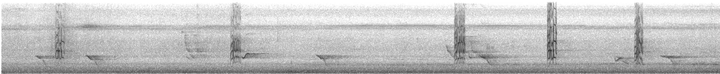 White-winged Parakeet - ML633473158
