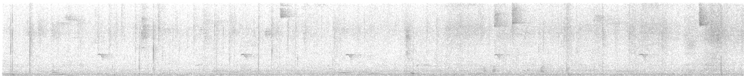 Guatemalan Tyrannulet - ML633473405