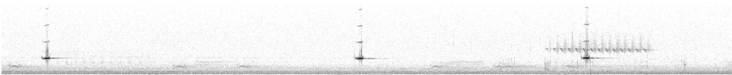 Townsend's Solitaire - ML633474558