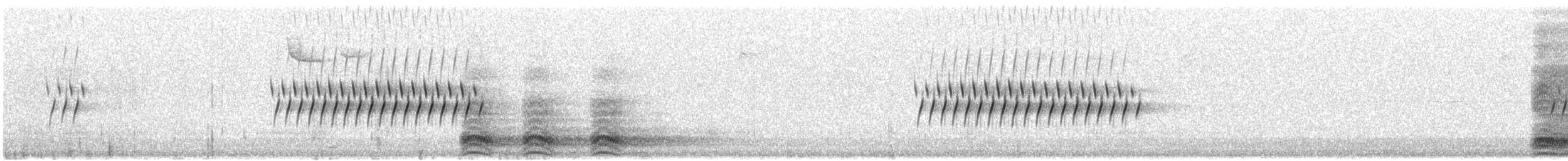 Dark-eyed Junco (Gray-headed) - ML633474580