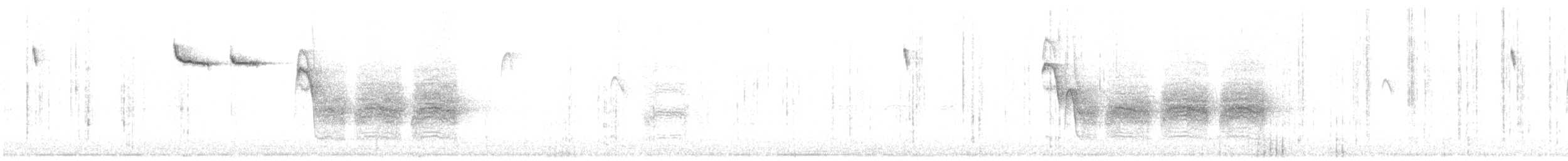 Brown Creeper (montana/idahoensis) - ML633474601