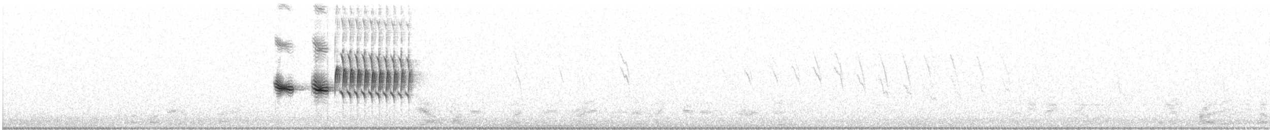 Spotted Towhee - ML633481691