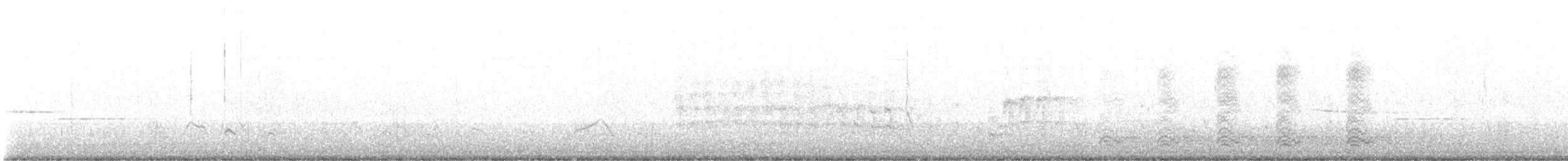 Canard d'Amérique - ML633483789