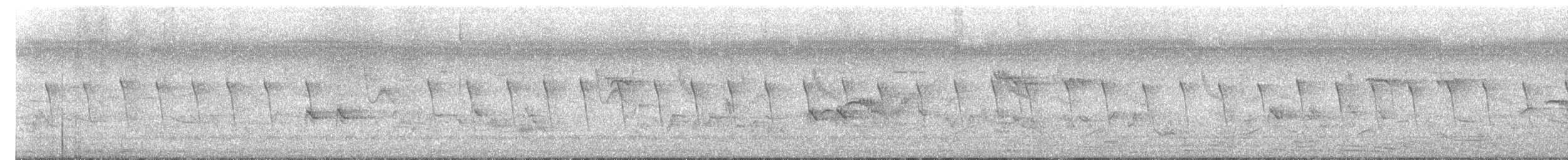 Common Tailorbird - ML633483792