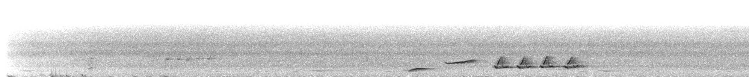 hårdrongo - ML633490079