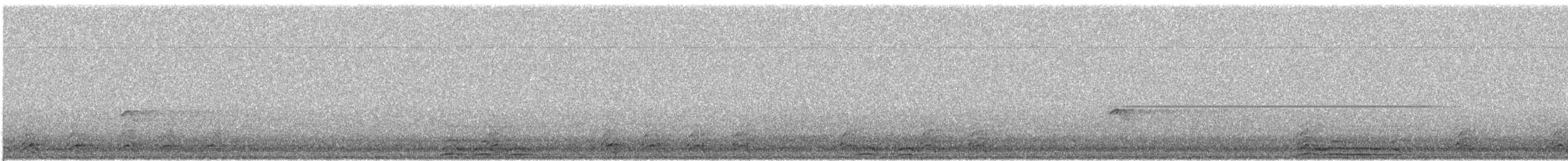 Long-billed Plover - ML633494656