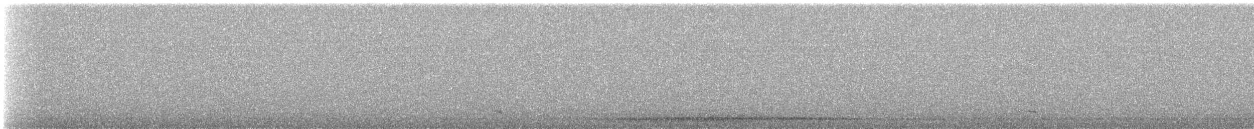 turpan černý - ML633498550