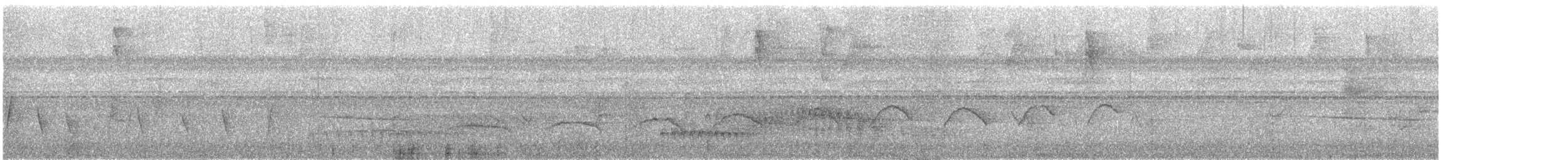 Gray Antwren - ML633498916
