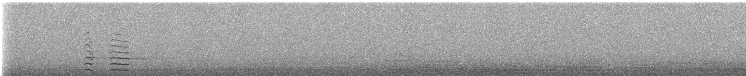 Eurasian Coot - ML633499144