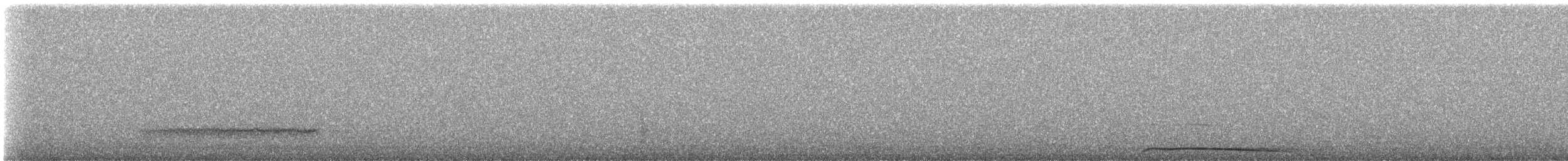 Western Barn Owl (Eurasian) - ML633499402