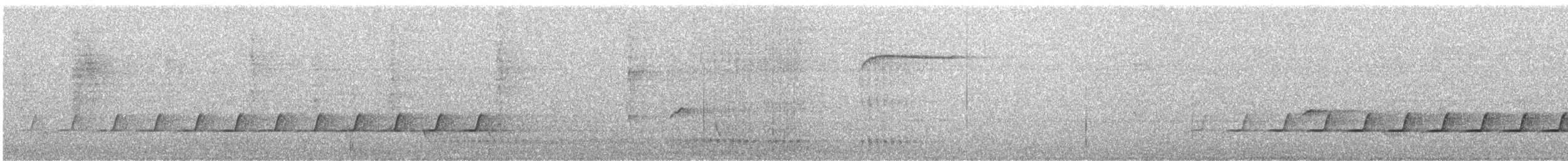 Spotted Quail-thrush - ML633508242