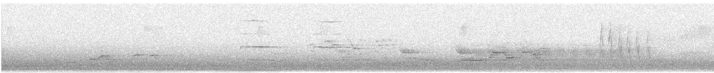 Hermit Thrush - ML633510592