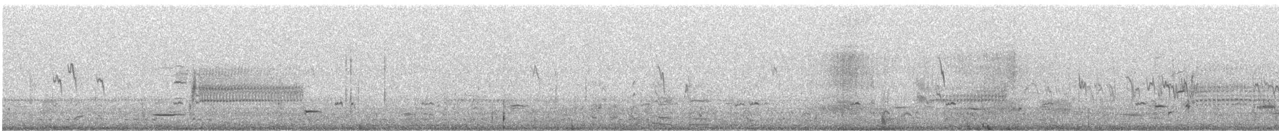 Amerikapieper - ML633512170