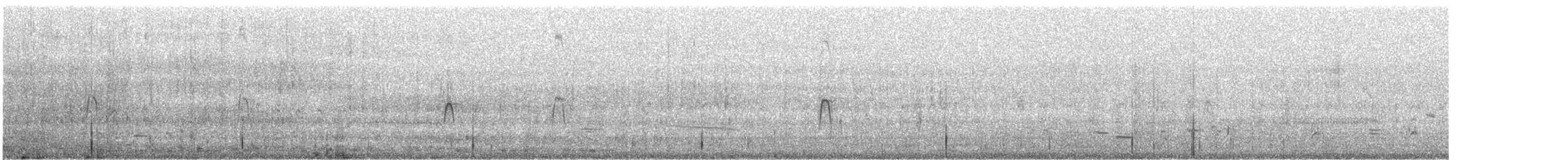 Blauflügelente - ML633512172