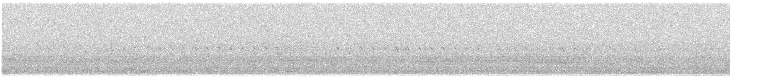 Качка sp. - ML633513628