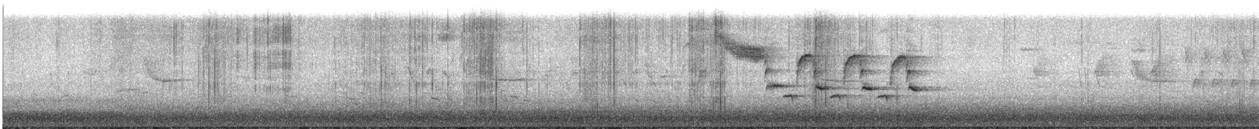 Bewick's Wren - ML633518499