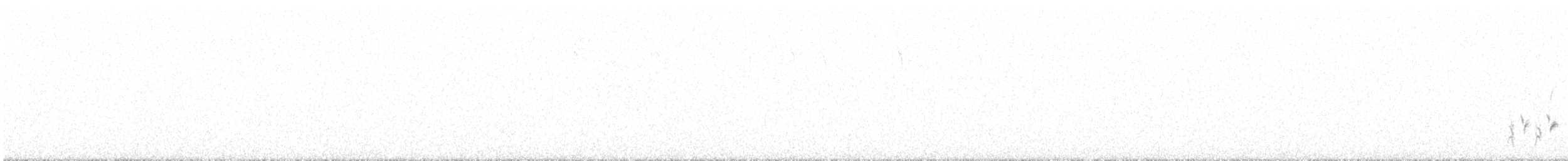 Redthroat - ML633524475