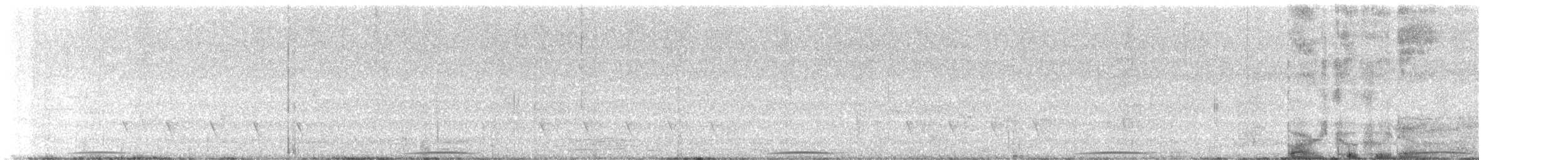 Phasianelle onchall - ML633526683