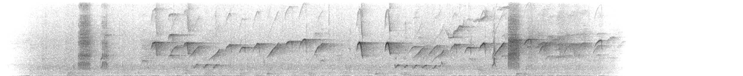 Téphrodorne bridé - ML633534157