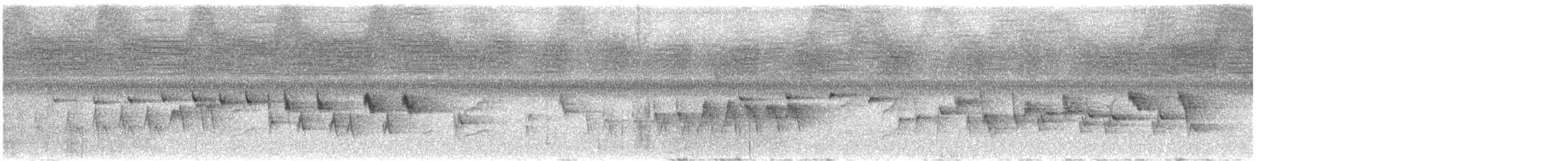 Bindenwaldsänger - ML633539643