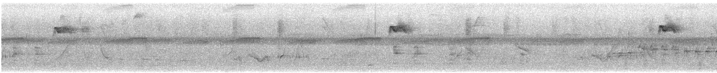 Variegated Flycatcher - ML633540295