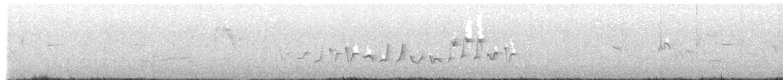 Txioa sp. - ML633540873