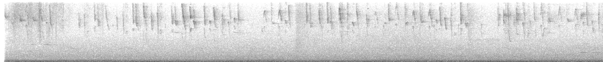 Cinereous Conebill - ML633541062